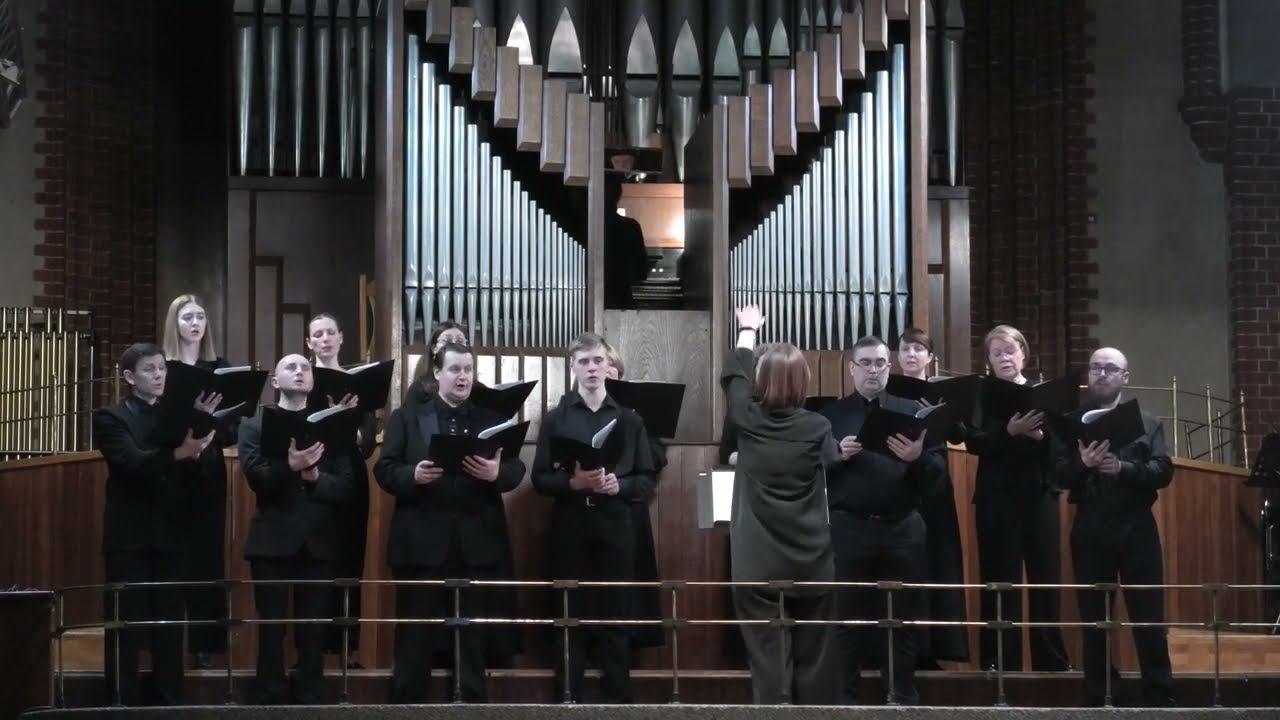P. Bębenek. O Salutaris