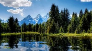 Красно Солнышко. исп. Кватро
Автор видео: Галина Смирнова@user-cq6vv6rk4b