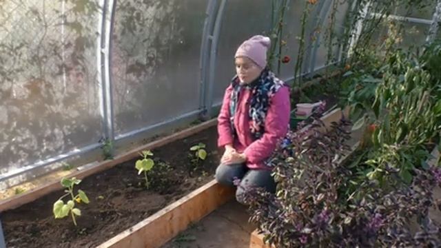 Как спасти растения от внезапных заморозков смотреть онлайн