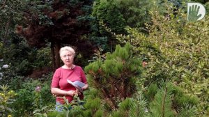 Видео журнал «Сады в отличной форме №63» ТЕНЕВОЙ САД известного коллекционера Л.Виноградовой