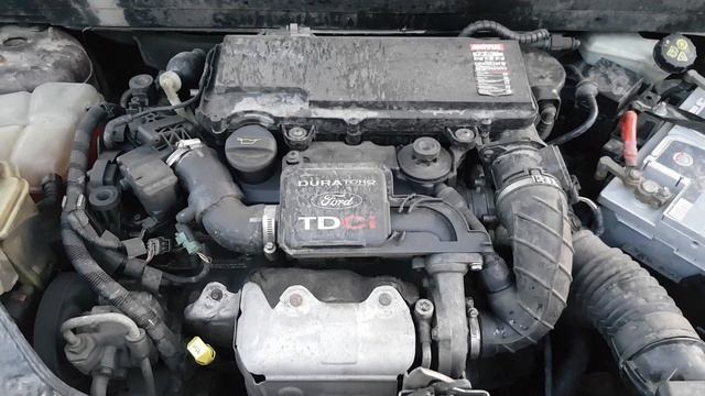 Ford Fusion 2007, 1.4 Diesel, Engine Sound At 256.000 Km (159.000 Miles)