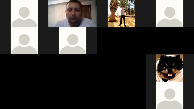 Конференция Робот Wall Street Bot — мультивалютный робот советник 2 10 2019 смотреть онлайн