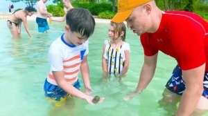 Катя и Макс плавают со Скатами на Каймановы островах