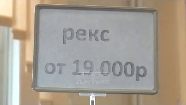 Подготовиться к зиме красиво и выгодно можно на выставке меховой фабрики «Зимняя сказка» смотреть онлайн