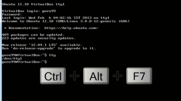 Virtual Terminals(TTY) - Linux Tutorial for Beginners