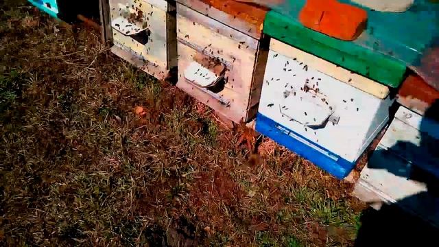 Кукурузная мука ч 2 смотреть онлайн