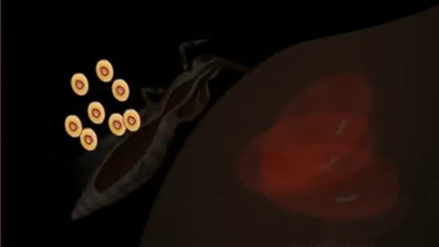 Life cycle of Plasmodium - Class 12 Science (Meritnation.com) смотреть онлайн