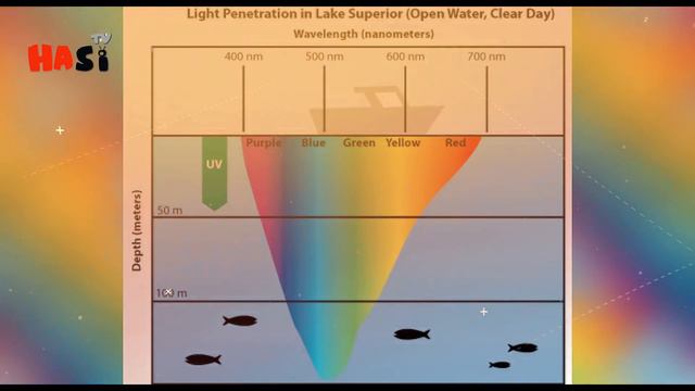 What Quran Mentioned About Dark Side Of Ocean ? | Urdu / Hindi смотреть онлайн