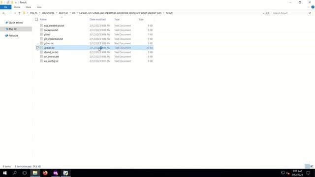 Laravel, Git, Gitlab, aws credential, wordpress config and other Scanner Vuln смотреть онлайн