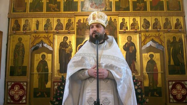 Божественная литургия в день памяти первомученика архидьякона Стефана в соборе Петра и Павла Минска смотреть онлайн