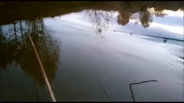 Ловим на очень маленьком пруду! смотреть онлайн