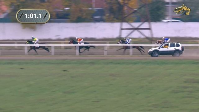 10-я Скачка. Кубок Чемпионов. Краснодарский ипподром. 16 октября 2021 смотреть онлайн