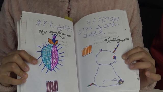 Красная книга волшебной страны смотреть онлайн