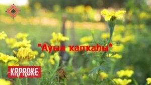 Светлана Хәкимова - Ауыл ҡапҡаһы