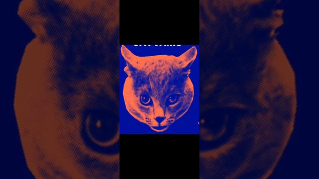 CAT MUSIC смотреть онлайн