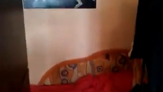 Летучая кошка смотреть онлайн