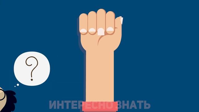 Длина кровеносных сосудов - 96 000 км - Правда или ложь? смотреть онлайн