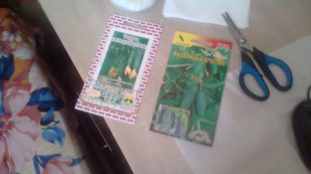 ПРОРАШИВАЮ семена ОГУРЦОВ для выращивания на ОКОШКЕ часть 1. 25 01 2019г смотреть онлайн