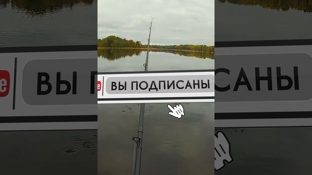 Подводная сьемка.Сногшибательный джаз щуки.