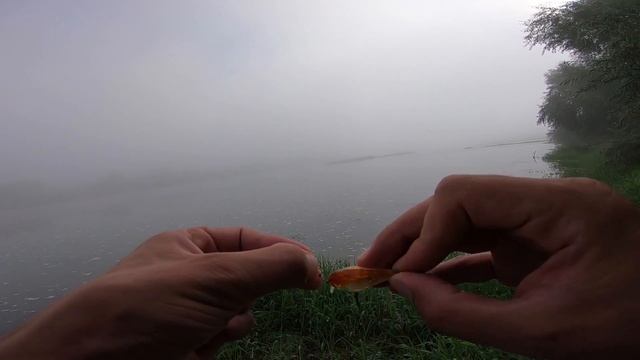 Этот голавль дал жизни на Днестре. Рыбалка утром на спиннинг смотреть онлайн