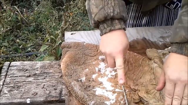 ТРЕБУХА ЧИСТИМ и готовим,вкусно смотреть онлайн