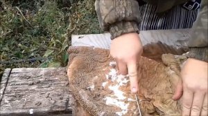 ТРЕБУХА ЧИСТИМ и готовим,вкусно