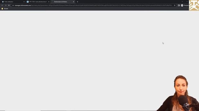 S4V21-2 - La configuration visuelle : le DARKMODE avec fix pour les champs HTML - Dolibarr смотреть онлайн