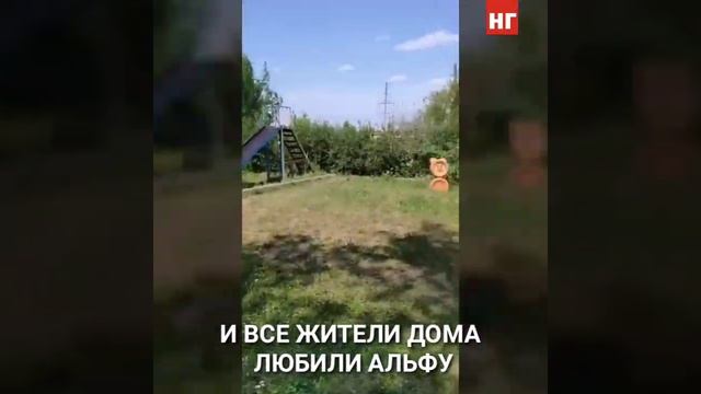 Сотрудники ветслужбы застрелили собаку во дворе жилого дома смотреть онлайн