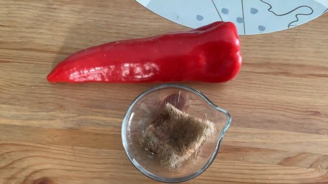 Купить перец в магазине и посадить из него семена. Опыт и экономия. смотреть онлайн