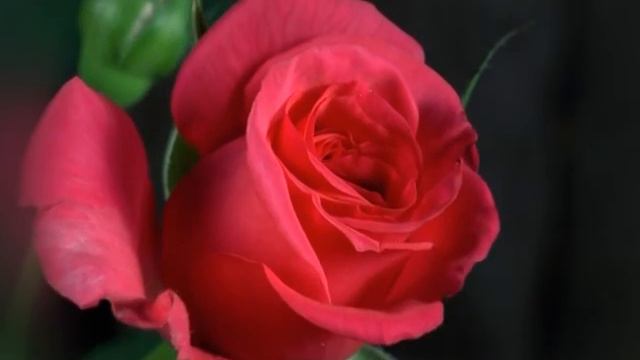 Мы счастливая семья | Поздравления с днем рождения... смотреть онлайн