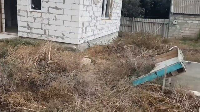 13 сентября 2022 г.Продаеься дом в Крыму ну и моя вчерашняя рыбалка. смотреть онлайн