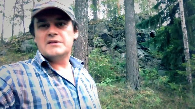 Маленькая грибная история смотреть онлайн