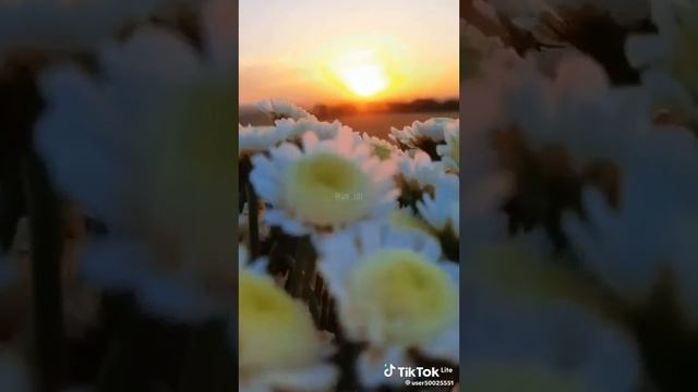 Мамин день рождения смотреть онлайн