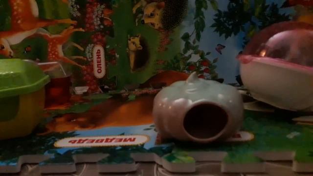 В каком домике хомяк может потерять голову? Домики для хомяка