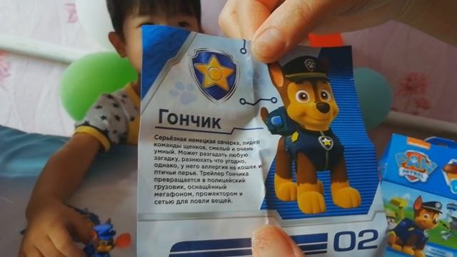 НАБОР СЛАДОСТЕЙ "ЩЕНЯЧИЙ ПАТРУЛЬ" смотреть онлайн