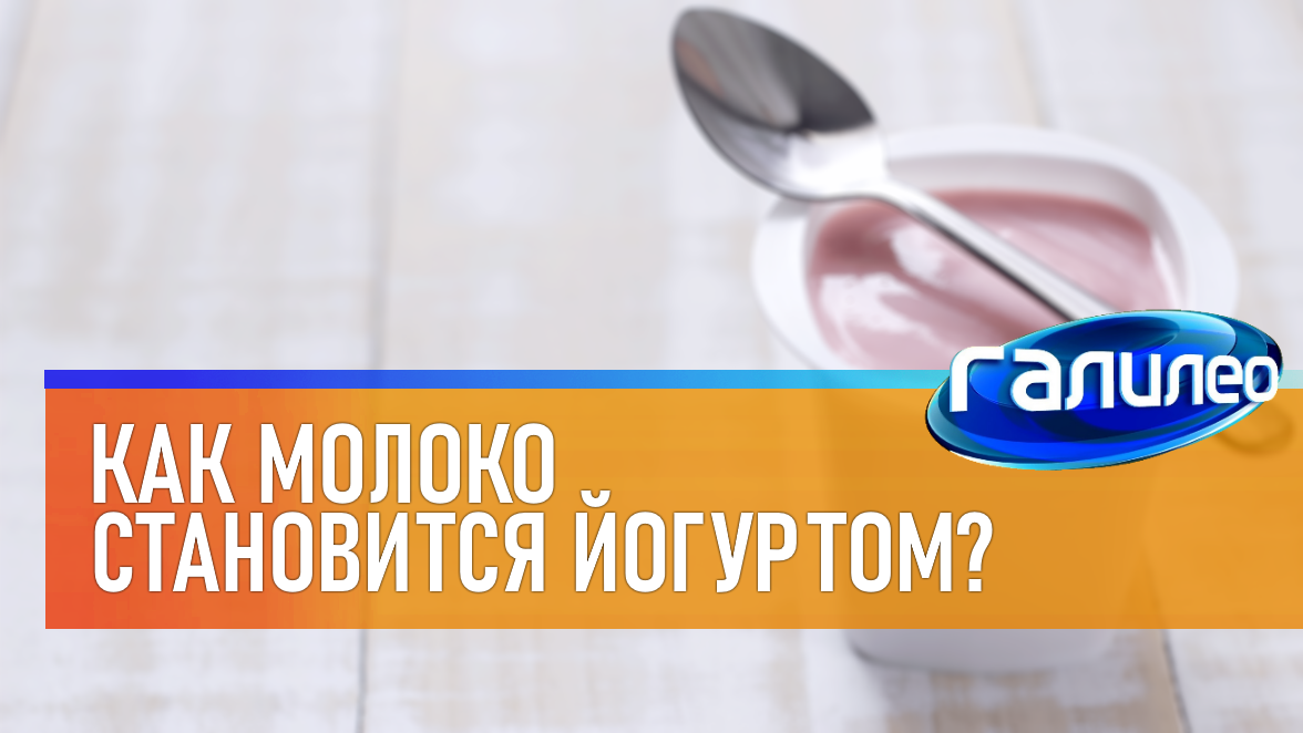 Галилео | 0025 ? Как молоко становится йогуртом? смотреть онлайн