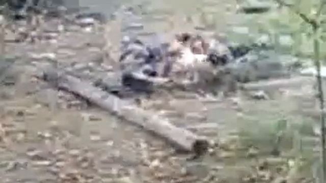 балон взорвался в костре смотреть онлайн