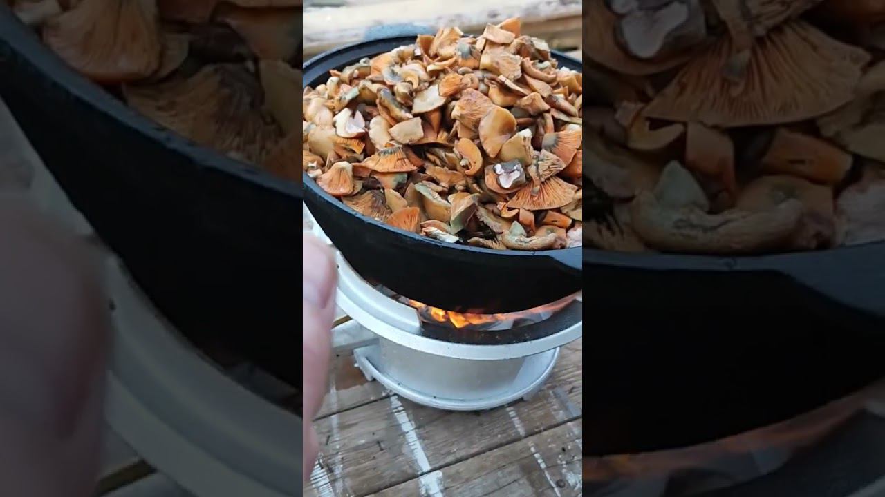 Рыжики на зиму. смотреть онлайн