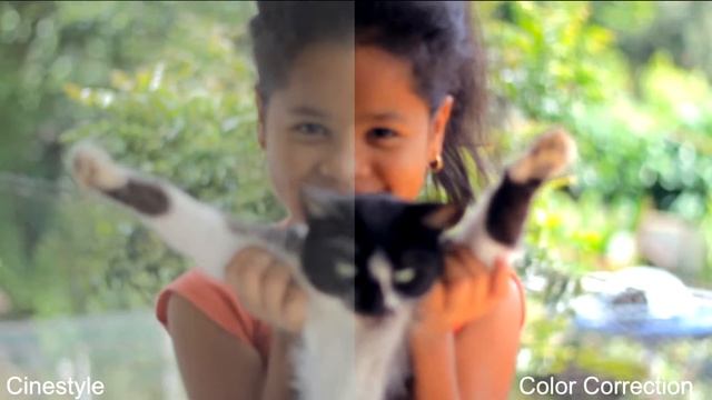 Canon 1100d with Cinestyle + Color grading Sony Vegas Pro 13 смотреть онлайн
