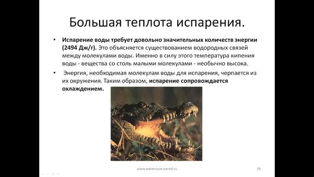 Биологическая роль воды смотреть онлайн