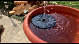 Еще один садовый Фонтан на солнечной батарее.