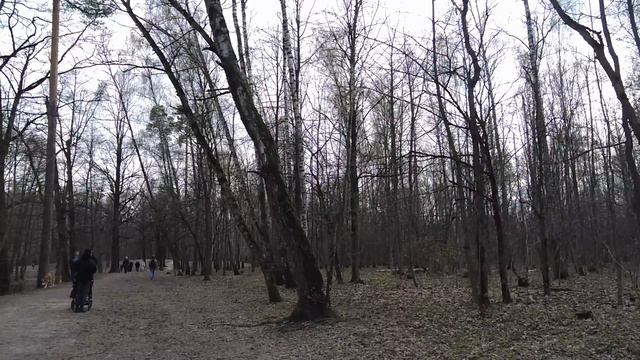 Зажравшийся директор музыкальной школы загнобил сына технички… Ответ уборщицы шокировал смотреть онлайн