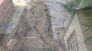 Купаемся в бассейне ?| | | На ночёвки у подруги ?