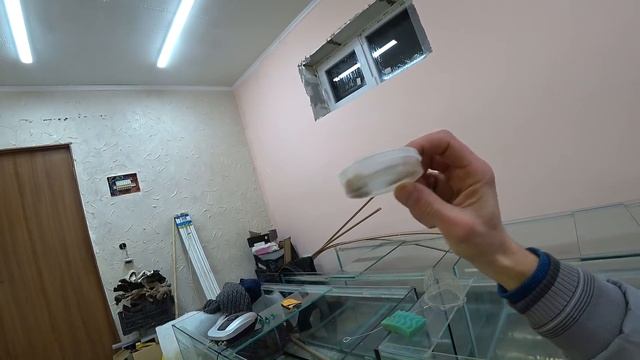 Про Удобрения. Улитки от Коли смотреть онлайн