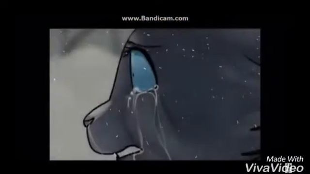 Клип коты воители Синяя звезда и Жолудь:Тает Лёд![Грибы] \ Kristina Di☺☺☺ смотреть онлайн