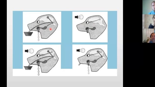 Как наш мозг учит языки. Лекция 1 смотреть онлайн