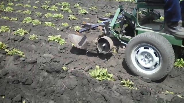 Окучивание картошки самодельным мини трактором 4*4 Ящвер смотреть онлайн