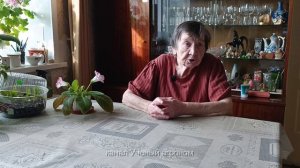 Яблоня.  Побелка деревьев в саду летом.