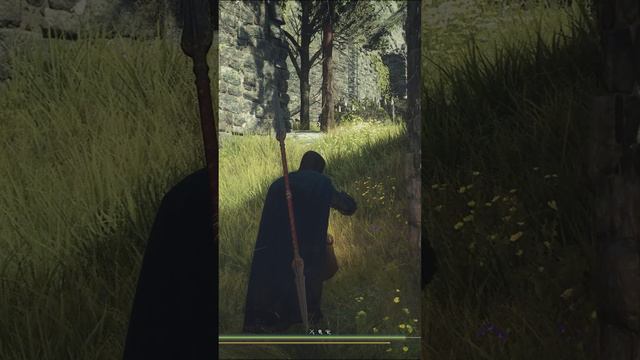 ESonyx Dragon's Dogma Moments - 7 #shorts #dragonsdogma2