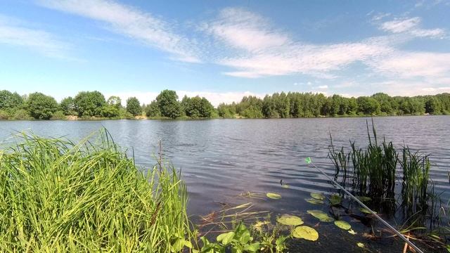 Первая рыбалка в отпуске.. смотреть онлайн